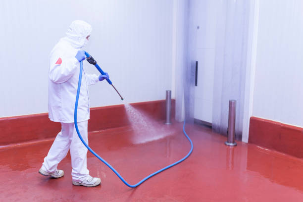 Best Pre-Holiday Cleaning  in Floresville, TX