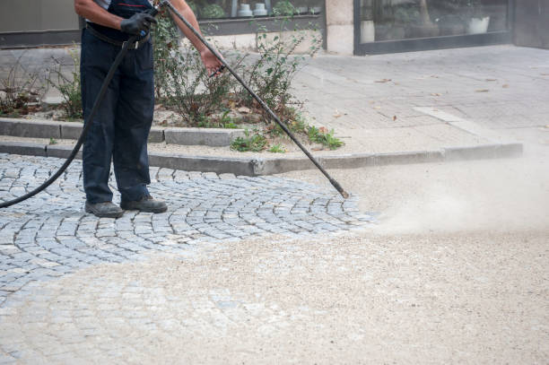 Best Sidewalk and Walkway Cleaning  in Floresville, TX
