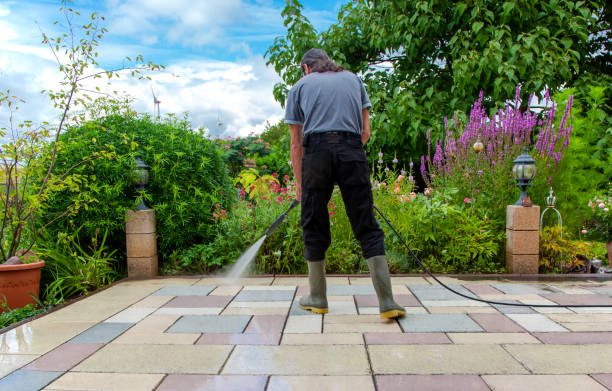 Best Animal Enclosure Cleaning  in Floresville, TX